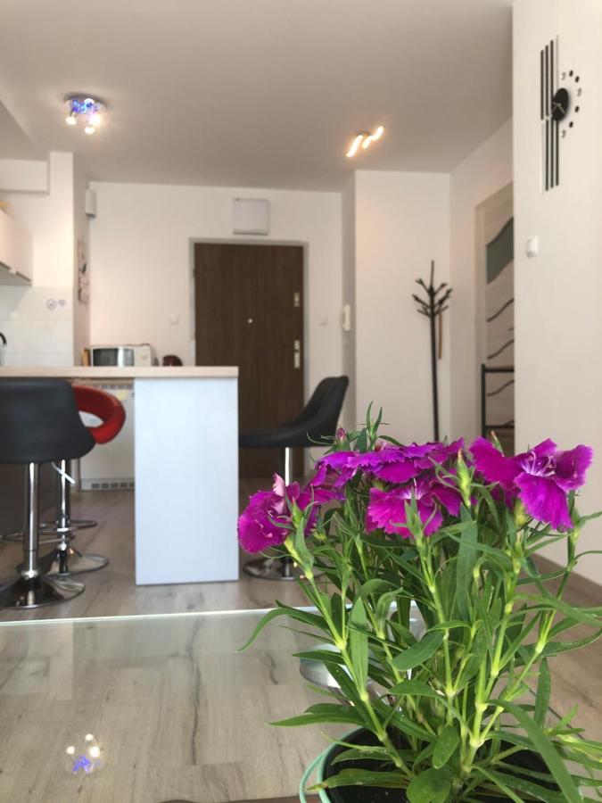 Kolobrzeg Apartament Osiedle Bursztynowe Ul Baltycka 11 B 외부 사진